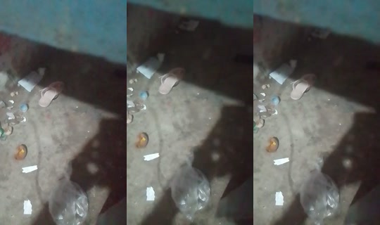 32656159's Live Session — Aug 29, 2026, 2:26 AM