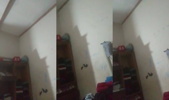 32656159's Live Session — Aug 31, 2026, 2:49 AM
