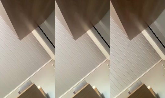33321159's Live Session — Sep 17, 2026, 6:19 PM