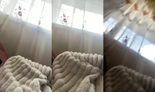 33373477's Live Session — Aug 13, 2026, 12:58 PM