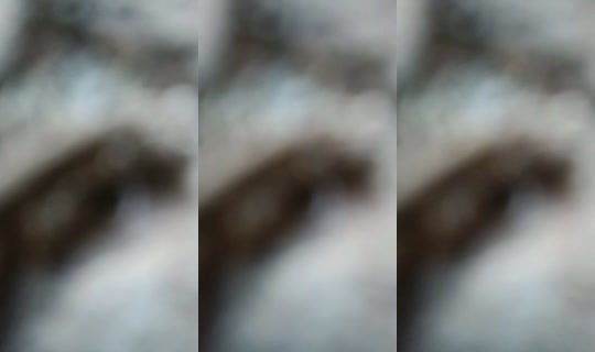 33401168's Live Session — Jul 25, 2026, 8:10 PM