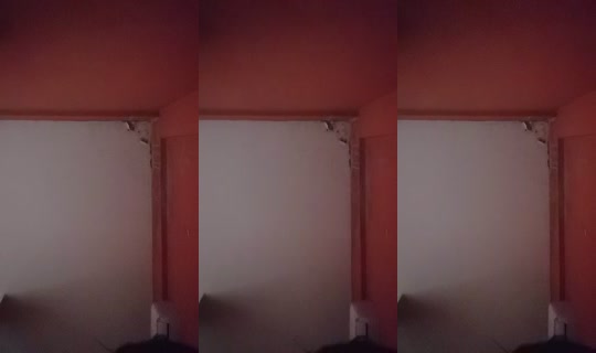 33533071's Live Session — Aug 4, 2026, 4:20 PM