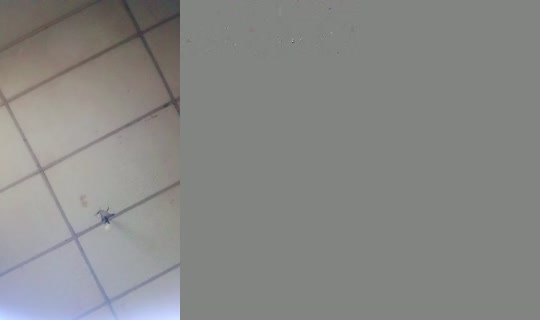 33560238's Live Session — Jul 27, 2026, 2:48 PM