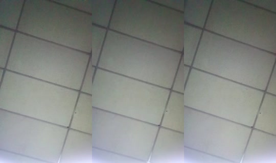 33560238's Live Session — Jul 27, 2026, 3:27 PM