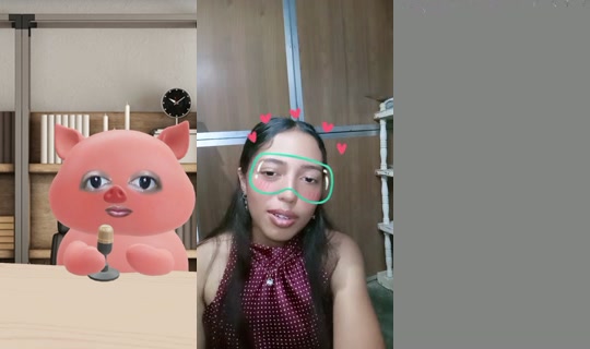 33587633's Live Session — Oct 17, 2026, 1:28 AM