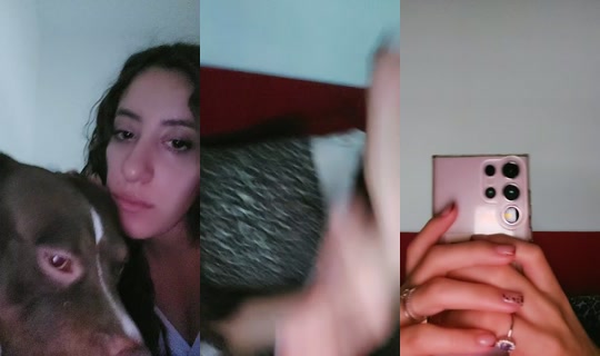 33600495's Live Session — Sep 14, 2026, 8:34 AM