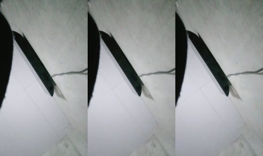 33613268's Live Session — Sep 3, 2026, 7:32 PM