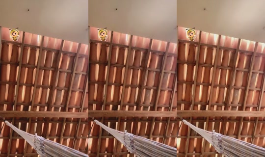 33727387's Live Session — Aug 5, 2026, 2:37 PM