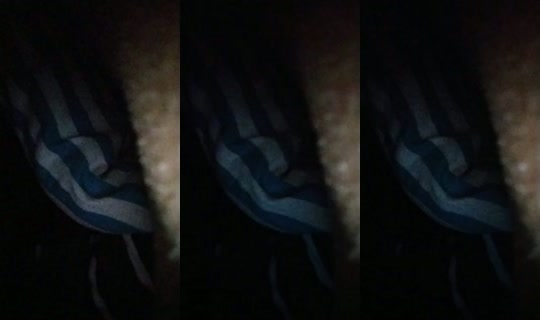 33879616's Live Session — Oct 14, 2026, 7:23 AM