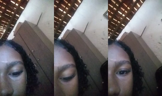 33882835's Live Session — Sep 16, 2026, 3:16 PM