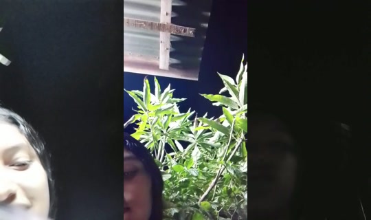 33984153's Live Session — Aug 12, 2026, 1:41 AM