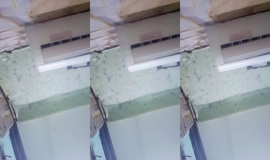 34030976's Live Session — Oct 4, 2026, 7:56 PM