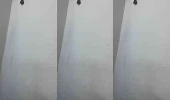 34034746's Live Session — Sep 11, 2026, 12:03 AM