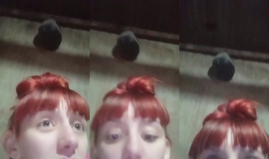 34092180's Live Session — Sep 13, 2026, 4:06 AM