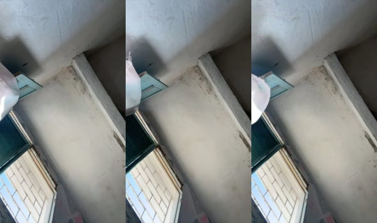34097853's Live Session — Oct 15, 2026, 6:16 PM