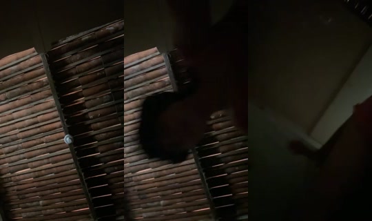 34097853's Live Session — Oct 16, 2026, 5:52 PM