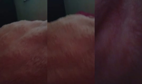 34248164's Live Session — Aug 23, 2026, 5:25 PM