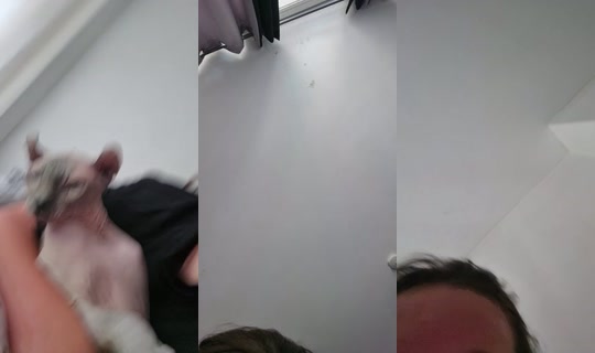 34335002's Live Session — Aug 28, 2026, 11:53 AM