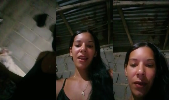 34519381's Live Session — Sep 17, 2026, 1:32 AM