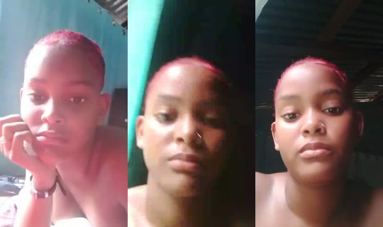 34543567's Live Session — Sep 13, 2026, 4:11 PM