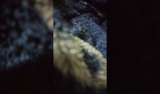 34612749's Live Session — Oct 15, 2026, 12:31 AM
