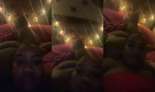 34816602's Live Session — Sep 23, 2026, 5:52 AM