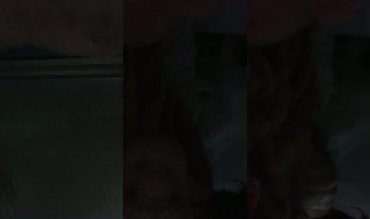 35046769's Live Session — Oct 19, 2026, 5:38 PM