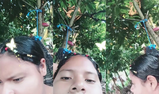 35113634's Live Session — Oct 6, 2026, 10:33 PM