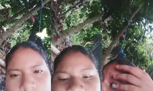 35113634's Live Session — Oct 9, 2026, 11:01 PM