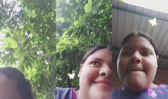 35113634's Live Session — Oct 16, 2026, 6:11 PM