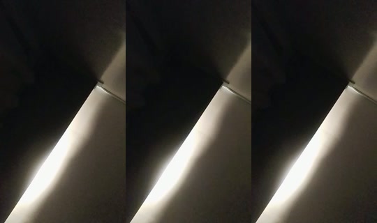 35139126's Live Session — Oct 19, 2026, 11:33 AM