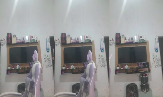 35196119's Live Session — Oct 17, 2026, 2:31 AM