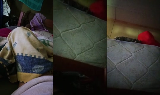 35201903's Live Session — Oct 6, 2026, 3:25 AM