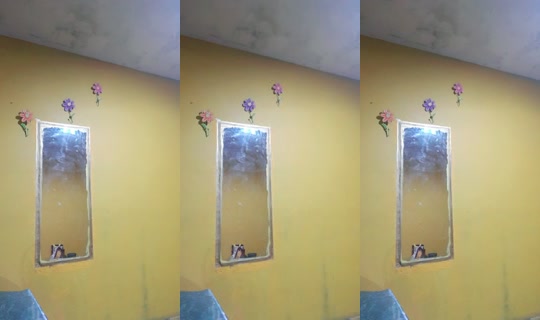35211500's Live Session — Oct 20, 2026, 5:14 AM