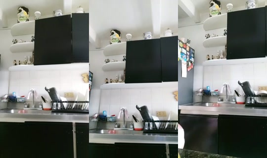 5046064's Live Session — Aug 4, 2026, 12:24 PM