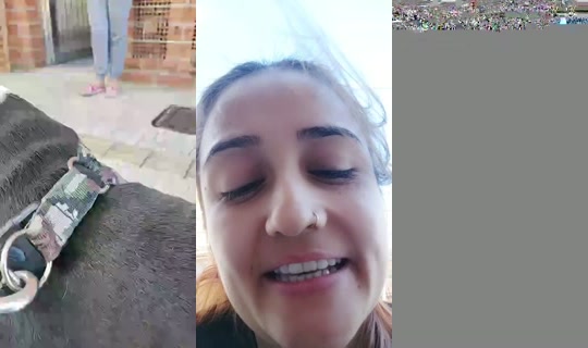 5046064's Live Session — Aug 10, 2026, 2:44 PM