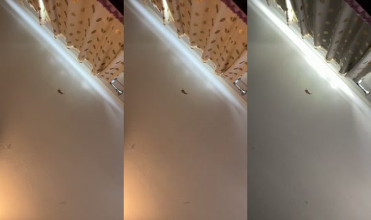 5310672's Live Session — Oct 16, 2026, 7:13 PM