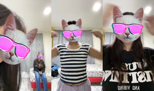 8123582's Live Session — Aug 19, 2026, 2:51 AM