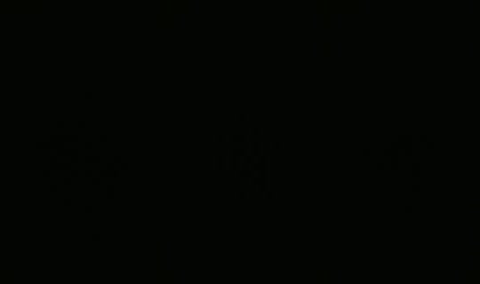 8652838's Live Session — Sep 8, 2026, 3:23 AM