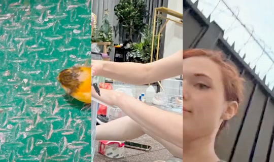 amouranth's Live Session — Jul 26, 2026, 12:51 AM