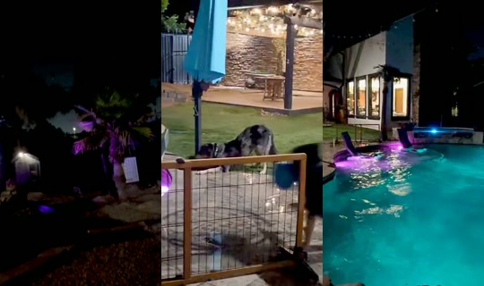 amouranth's Live Session — Aug 20, 2026, 1:59 AM
