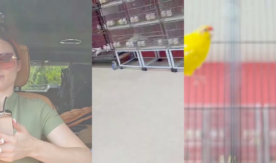 amouranth's Live Session — Sep 9, 2026, 6:49 PM