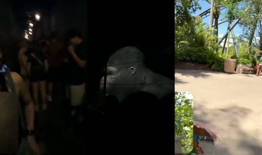 gabepeixe's Live Session — Jul 15, 2026, 6:45 PM