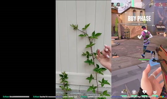 samirasaly's Live Session — Jul 8, 2026, 11:48 PM