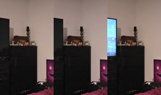 xenathewitch's Live Session — Oct 27, 2026, 11:31 AM