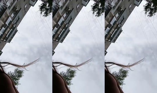1105259277276291072's Live Session — Jul 8, 2026, 2:18 PM