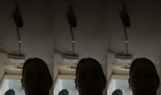 1309828257201397761's Live Session — Aug 11, 2026, 12:38 PM