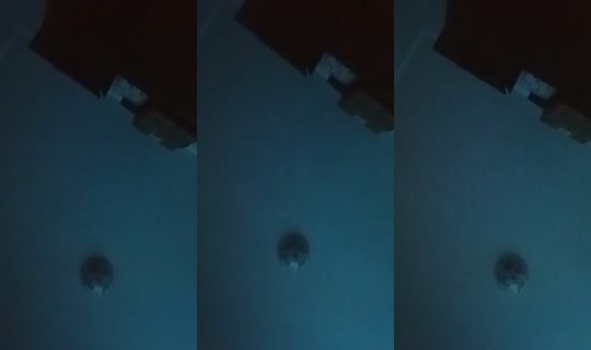 1760665481829359617's Live Session — Sep 28, 2026, 4:35 AM