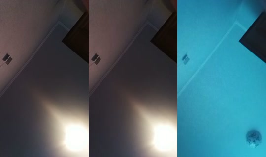 1760665481829359617's Live Session — Sep 28, 2026, 10:42 AM