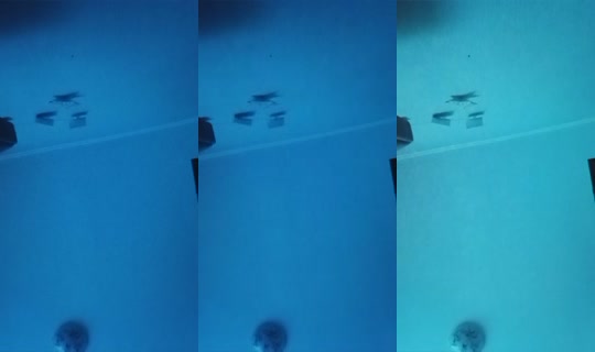 1760665481829359617's Live Session — Sep 28, 2026, 11:11 AM